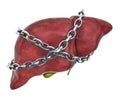 Liver Pain concept. Human liver with chain. 3D rendering