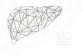 Liver shape wireframe polygon silver frame structure, Medical Science Organ concept design illustration isolated on black gradient