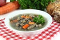 Liver spaetzle soup Royalty Free Stock Photo
