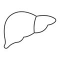 Liver thin line icon, anatomy biology, hepatology