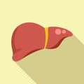 Liver transplant icon flat vector. Surgery medical science