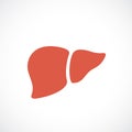 Liver vector icon