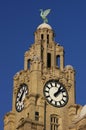Liverpool Liver Building 02 Royalty Free Stock Photo