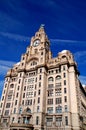 Liverpool Liver Building