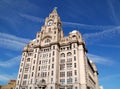 Liverpool Liver Building Royalty Free Stock Photo