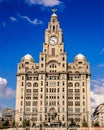 Liverpool Liver Building Royalty Free Stock Photo