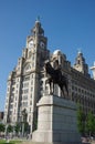 Liverpool liver building Royalty Free Stock Photo