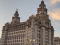 Liverpool liver building Royalty Free Stock Photo