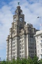 Liverpool liver royal building Royalty Free Stock Photo