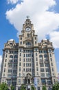 Liverpool liver royal building Royalty Free Stock Photo