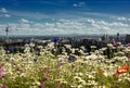 LIVERPOOL SKYLINE, MERSEYSIDE, ENGLAND Royalty Free Stock Photo