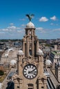 Aerial view of Liver building with the clock tower and the statue of liver bird Royalty Free Stock Photo