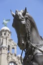 Liverpool, UK, 24th June 2014, King Edward VII Monument and statue outside the Royal Liver Building again blue sky during the Royalty Free Stock Photo