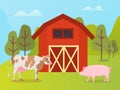 Livestock Animals Cow and Pig Near Warehouse Royalty Free Stock Photo