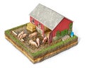 Livestock concept, pig farm with animals on yard, on a piece of ground, isolated on white background,
