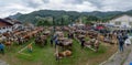 Livestock Fair, the largest cattle show in the Bergamo valleys