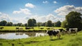 livestock farmer cows Royalty Free Stock Photo