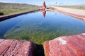 Livestock fountain