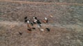 Aerial landdcape of the masaai land in Arusha, Tanzania