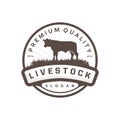 Livestock Logo, Fram Garden Design, Cow Logo Vector Badge Longhorn Bull Cattle Vintage Label Template