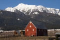 Livestock Wind Break Horse Leaning Red Barn Mountain Ranch Royalty Free Stock Photo