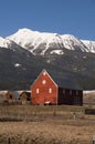 Livestock Wind Break Horse Leaning Red Barn Mountain Ranch Royalty Free Stock Photo