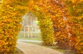 A living arch of yellow and bush branches and a sidewalk path in an autumn park. Landscape design. Parks. Autumn concept Royalty Free Stock Photo
