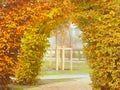 A living arch of yellow and bush branches and a sidewalk path in an autumn park. Landscape design. Parks. Autumn concept Royalty Free Stock Photo