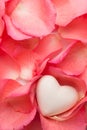 Living coral color rose petals end heart Royalty Free Stock Photo