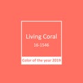 Living Coral - Color of the year 2019 Minimal Background