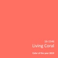 Living Coral - Color of the year 2019 Minimal Background