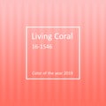 Living Coral - Color of the year 2019 Minimal Stripe Background
