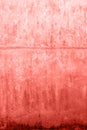 Living coral wooden background. Abstract wallpapper