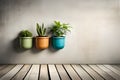 Living Decor: A Closer Look at Different Plants in Pots on Concrete Wall