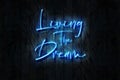 Living The Dream neon sign on a dark wooden wall, 3D illustration