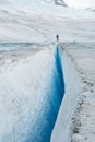 Living on the edge of a glacier Royalty Free Stock Photo