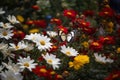 Living garden: colorful flowers, dancing butterflies., generative IA
