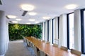 Living green wall, vertical garden indoors with flowers and plants under artificial lighting in meeting boardroom Royalty Free Stock Photo