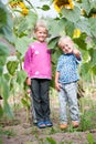 Living happy children brother and sister in the thickets of sunflower in the backyard of the farm