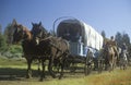 Living History participants in wagon train near Sacramento, CA Royalty Free Stock Photo