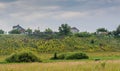 Living houses on the top of the hill at the field Royalty Free Stock Photo