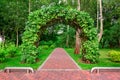 Living oak arch in green leaves in a park. Royalty Free Stock Photo