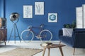 Living room with bicycle