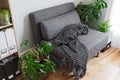 Living room with bright plants and gray armchair Royalty Free Stock Photo