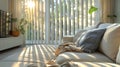 Living room with couch, TV, and vertical blinds for comfort and style Royalty Free Stock Photo