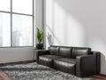 Living room with empty white wall over dark leather couch. Corner view Royalty Free Stock Photo