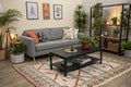 Living room with gray sofa and patterned rug Royalty Free Stock Photo