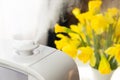 Living room humidifier for healthy hair in a natural light with yellow flowers in a background Royalty Free Stock Photo