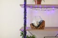 Living room interior bookshelf with flower pot and glass vase behind white wallpaper. Royalty Free Stock Photo