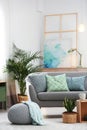 Living room interior with houseplants and sofa Royalty Free Stock Photo